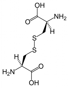 %e3%82%b7%e3%82%b9%e3%83%81%e3%83%b3